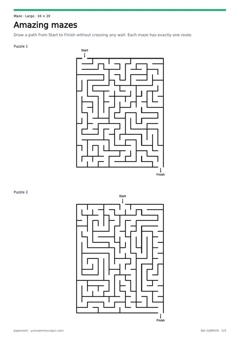 Amazing mazes